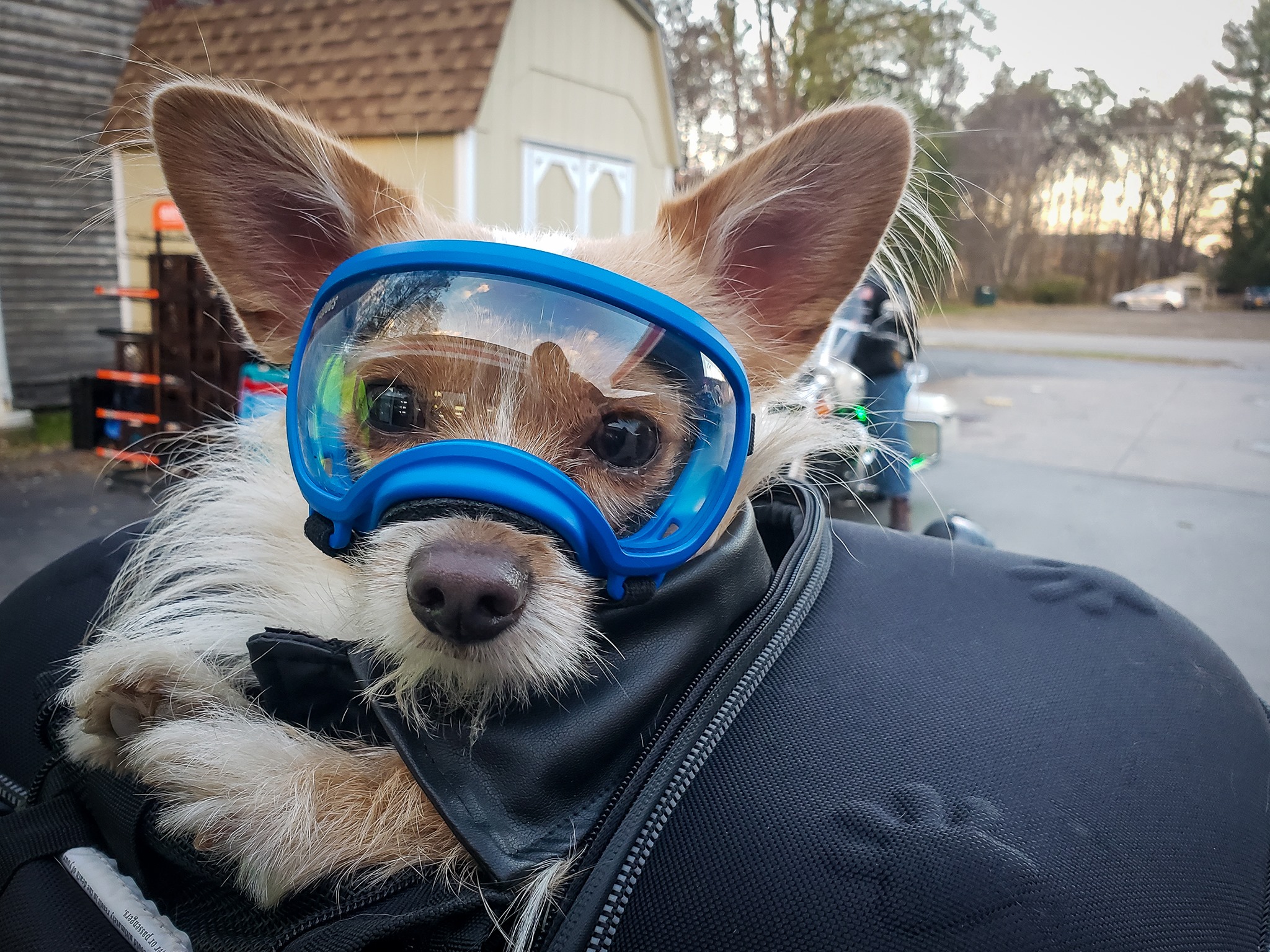 The real co-pilot